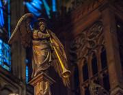 0D2073A7-3C01-466D-8A62-52C6A84409E9