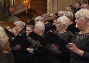 8016BC1E-B411-4B20-993E-F6C18C6EC916